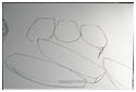 Page pr�c�dente (p)